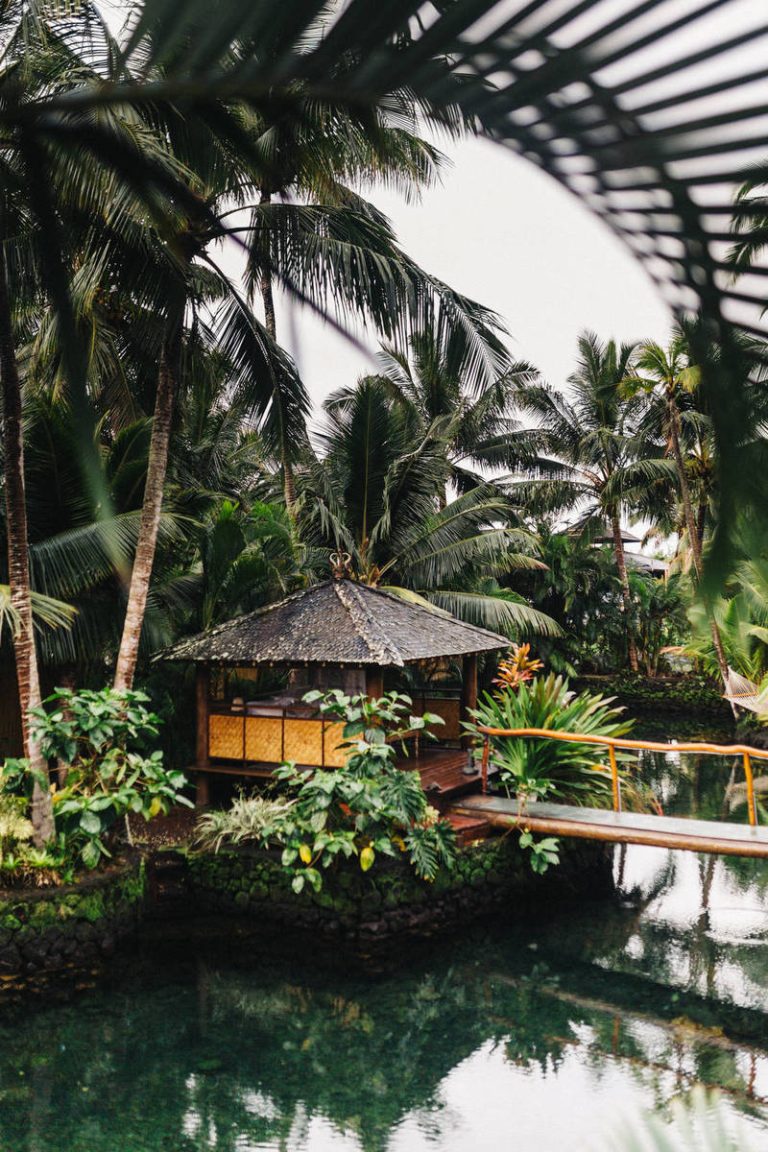 Austrians Dine Out Again After Virus Lockdown